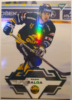SportZoo ELH 23/24 - Litvínov - Radim Šalda - 1of95 - #186