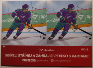 SportZoo ELH 23/24 - MINIGAMES - #PX-12