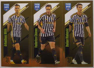 FIFA 365 2023/2024 - Samolepka č.321a/b/c